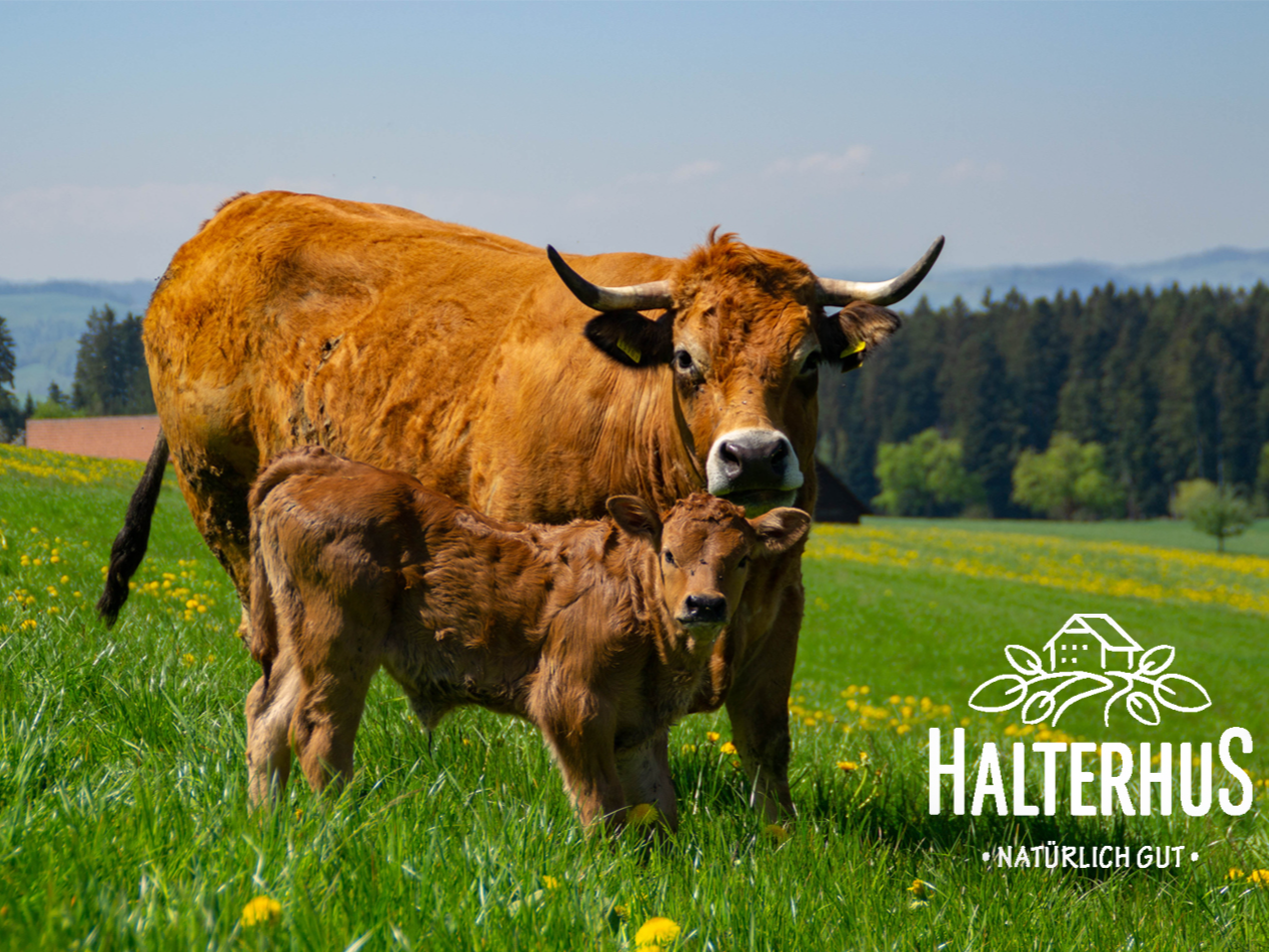 Halterhus, producteur à Ruswil canton de Lucerne en Suisse, image 1 | Mimelis